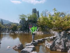 -千岛湖石林
