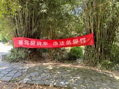 -九龙潭景区