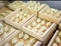 -田记自助海鲜饺子