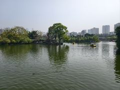 -翠湖公园