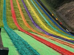 -梦幻奥陶纪景区