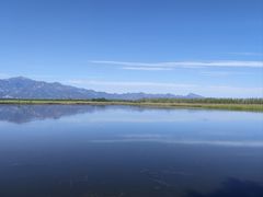-野鸭湖国家湿地公园