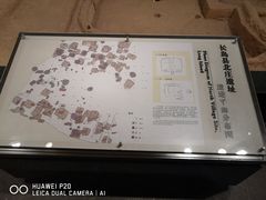 -烟台市博物馆