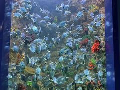 -海合安青岛极地海洋公园