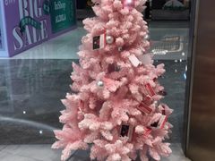 -奈雪的茶(金地广场店)