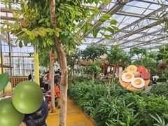 -南宫五洲植物乐园