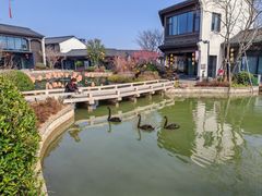 -雅达·阳羡溪山小镇中心