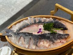 深水花鲢-吃城都·鱼蛙火锅(西玉龙街店)