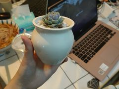 -沪上阿姨·精选茶饮(燕郊富地广场店)