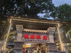 -桃姐农庄老字号(增城分店)