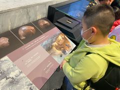 -北京周口店北京人遗址博物馆