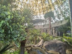 -西峡恐龙遗迹园