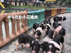 -湖南湘都生态农业园