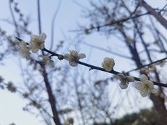 -荔枝公园(福田区)