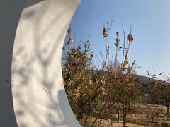-无锡梅园公园
