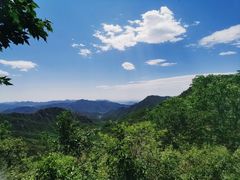 -大岭沟猕猴桃谷风景区