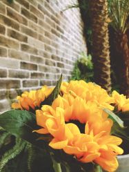 -花隐·美芙炫海菲秀皮肤管理中心