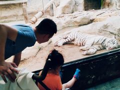 -清迈夜间动物园