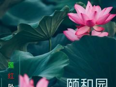-颐和园