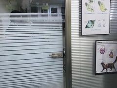 -动物缘宠物医院·骨科·猫科(西二环店)