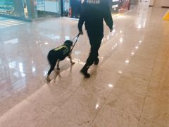 -威尔仕健身(金茂店)