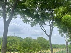 -上海长兴岛郊野公园