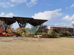 -上海长兴岛郊野公园