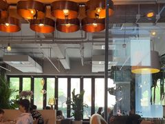 -the rug 飞毯 (朝阳公园店)