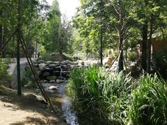 -白水寺森林公园