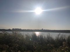 -绿堤公园