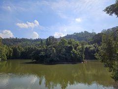 -滴水岩森林公园