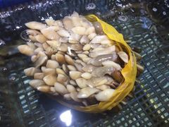 -快乐海鲜城(虎泉街店)