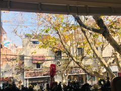 -蝶舍·MAISON PAPILLON