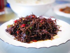 海草-金海湾海鲜排档(朱家尖店)