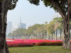 -海心沙亚运公园