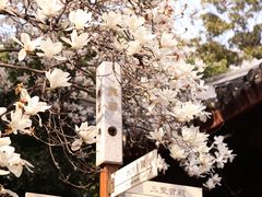 -龙华寺