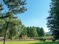 -羊亭河湿地公园