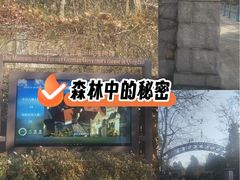 -青岛德国总督楼旧址博物馆