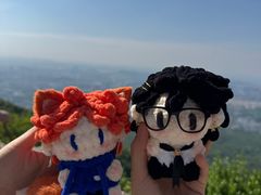 -紫金山山顶公园