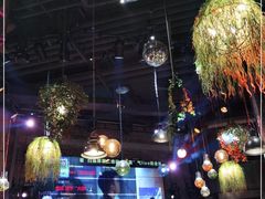 -胡桃里乐队酒馆(鎏嘉码头店)