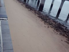 -演武大桥观景平台