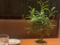 -CURRY YA 熟成咖哩專門店(深圳湾万象城店)