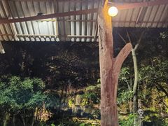 -绿光森林餐厅