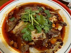 -易老妈蹄花.特色川菜(人民公园总店)