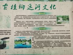 -会仙湿地