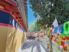 -迪庆藏族自治州博物馆