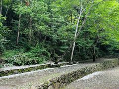 -龙湾潭国家森林公园