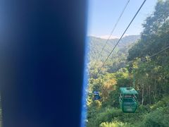 -野象谷景区