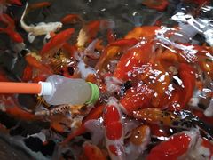 -福州罗源湾海洋世界旅游区