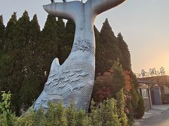 -仰口沙滩